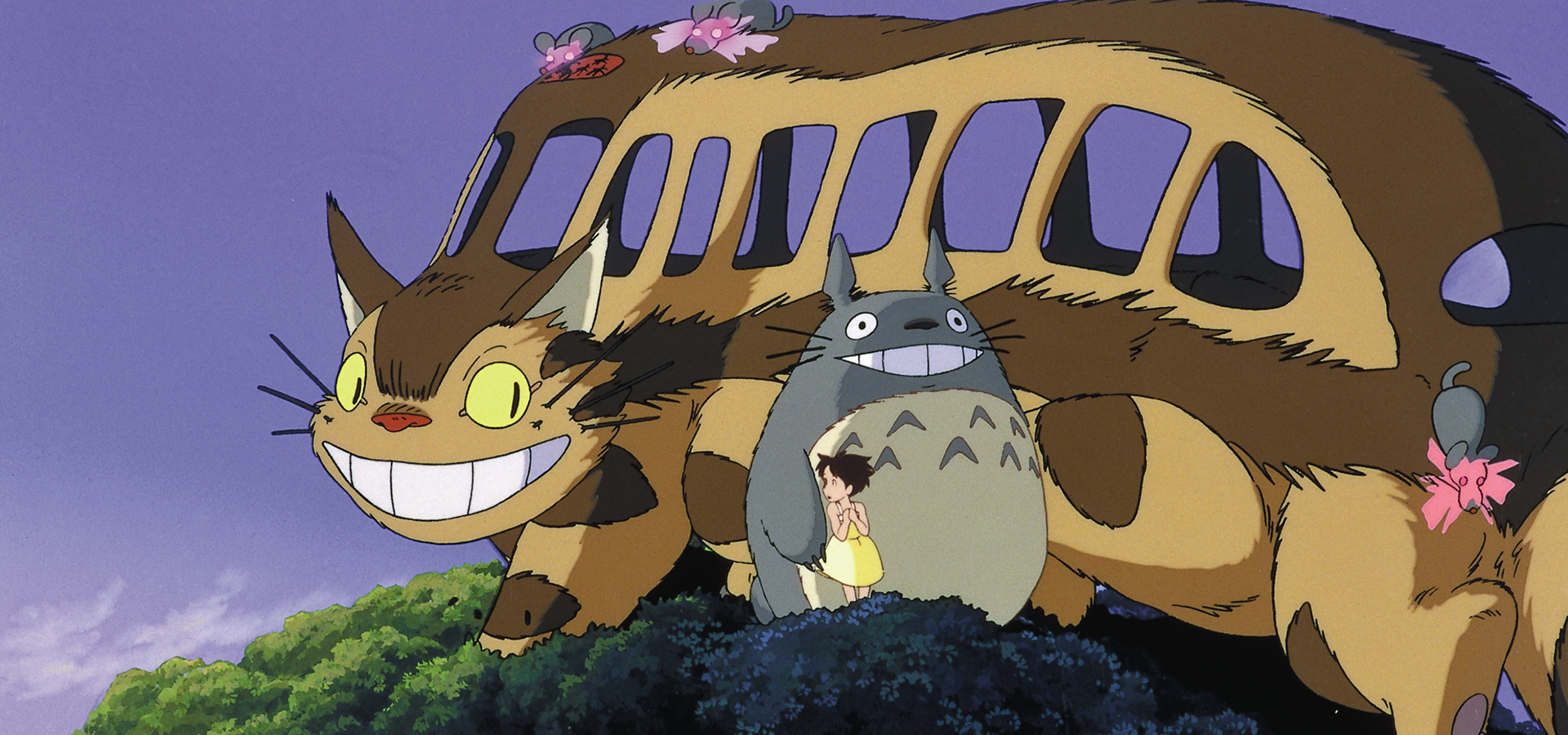 moj-sasiad-totoro-foto-02.jpg