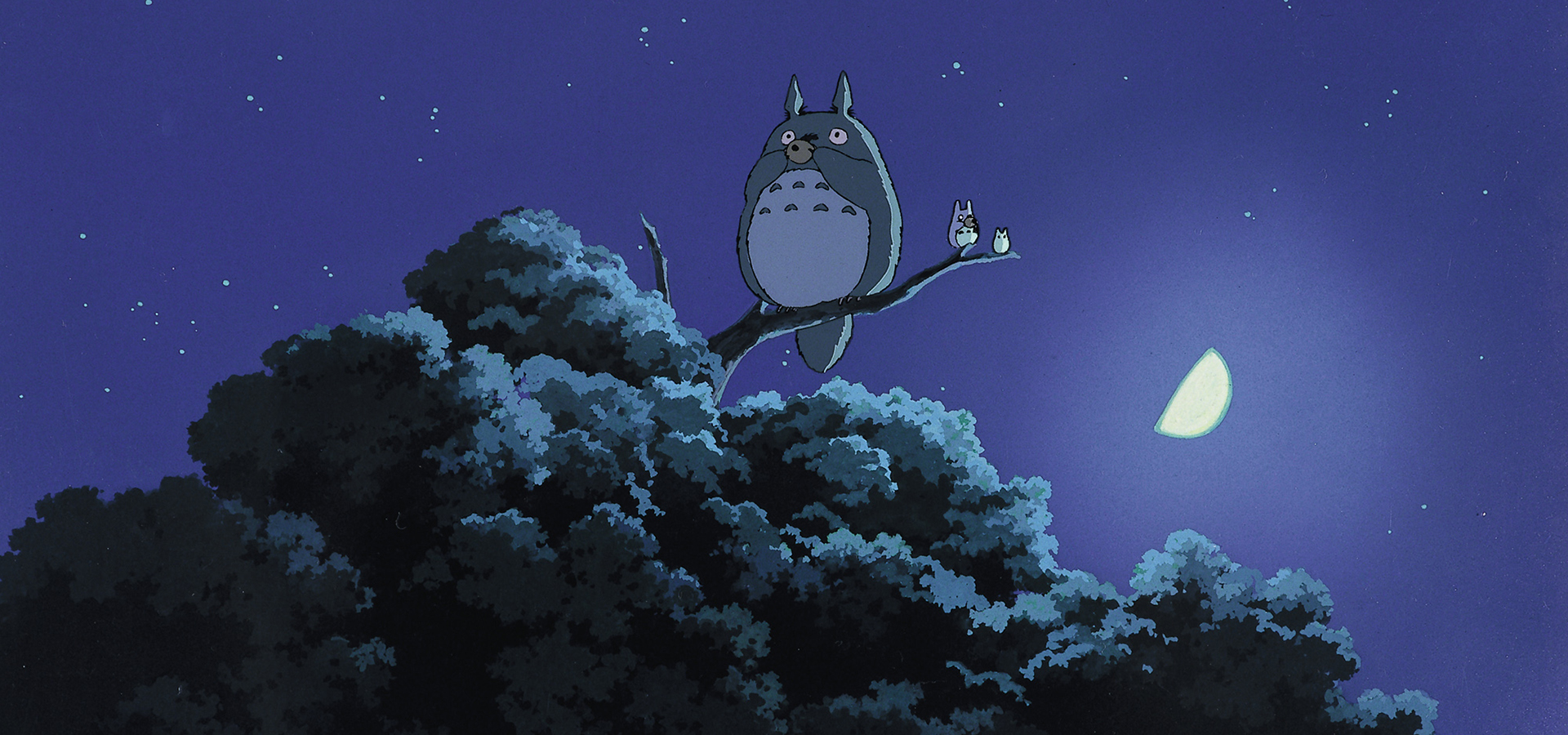 moj-sasiad-totoro-foto-06.jpg