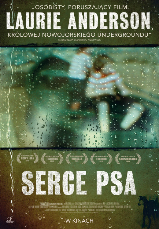 serce-psa-b1.jpg